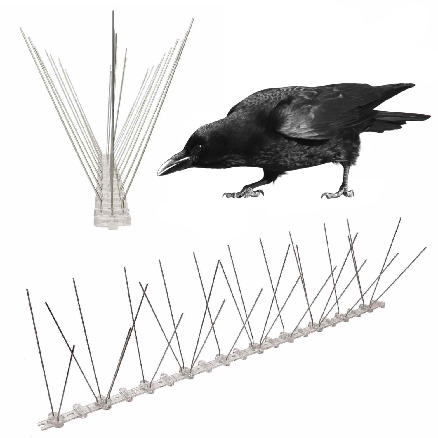 Crow Spikes