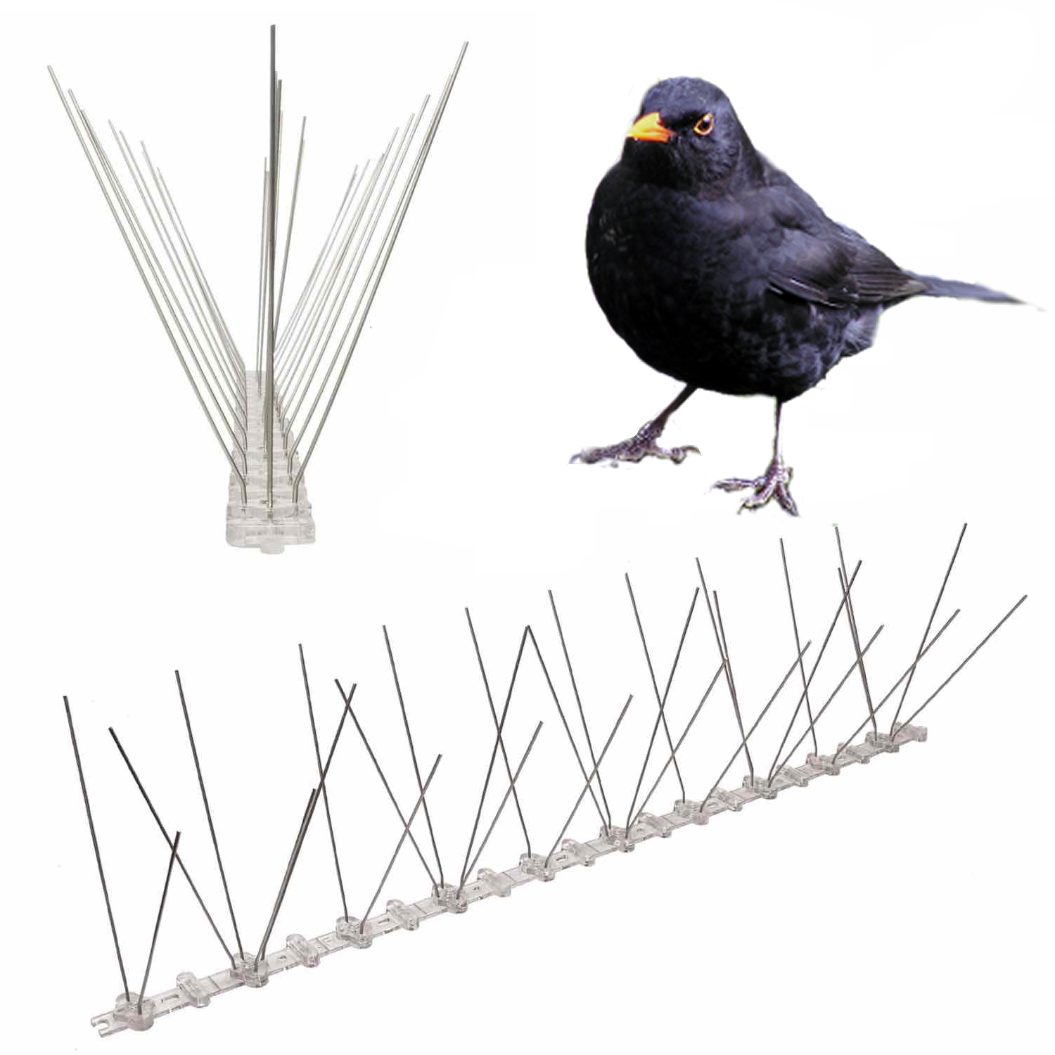 Blackbird Spikes