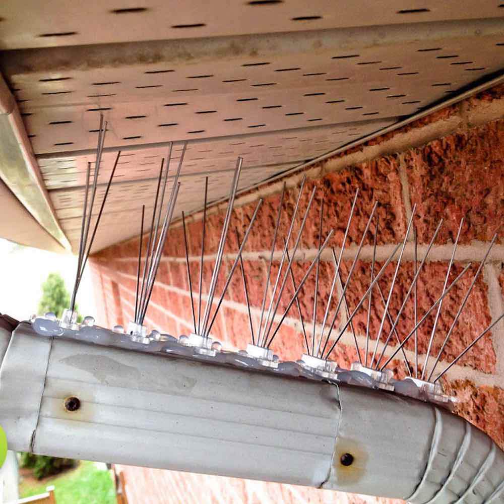 Gutter Spikes, image 2