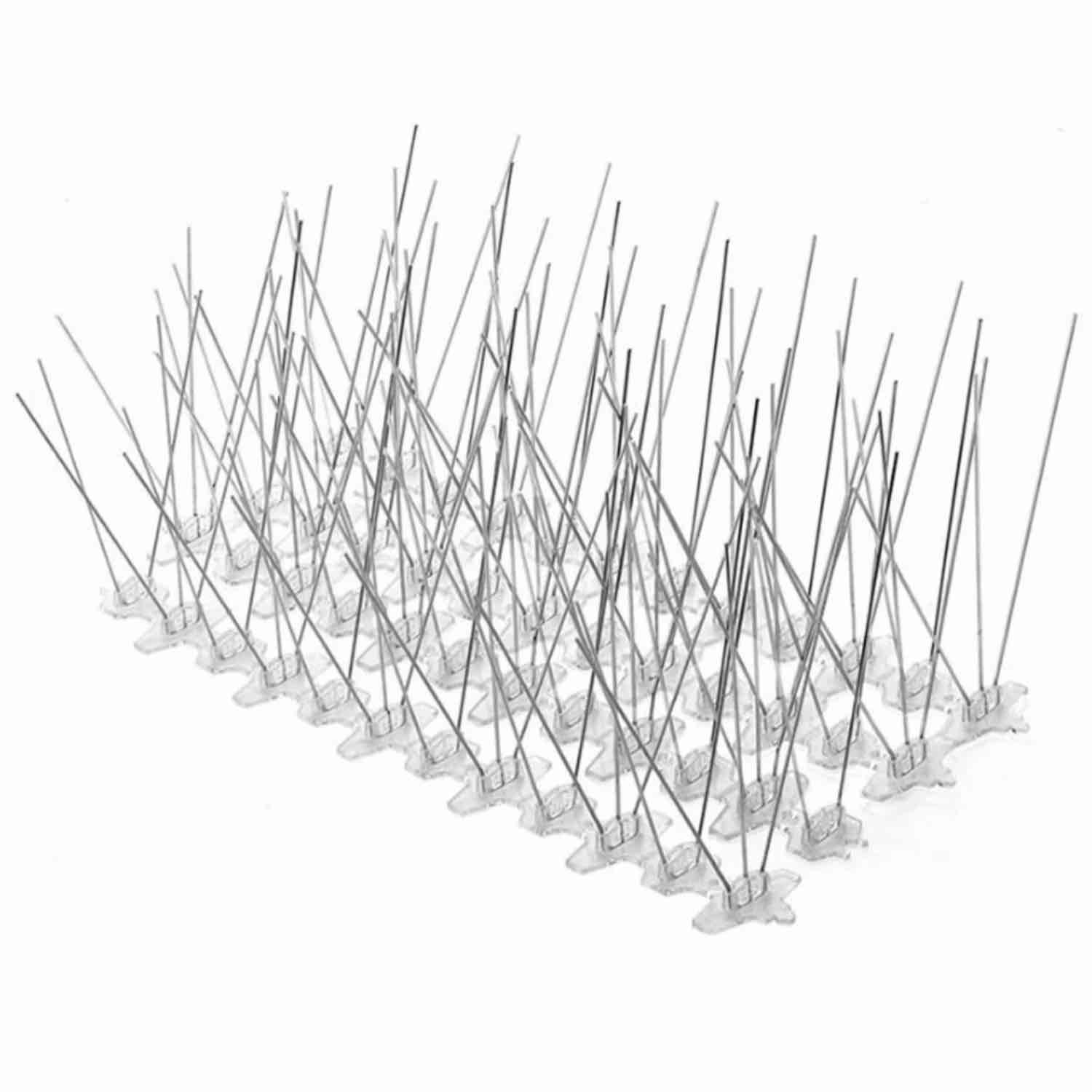 Stainless steel bird spikes