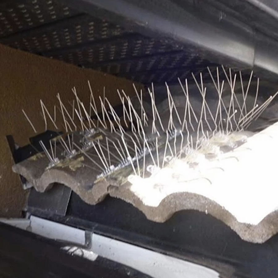 Anti-Pigeon Spikes, image 3