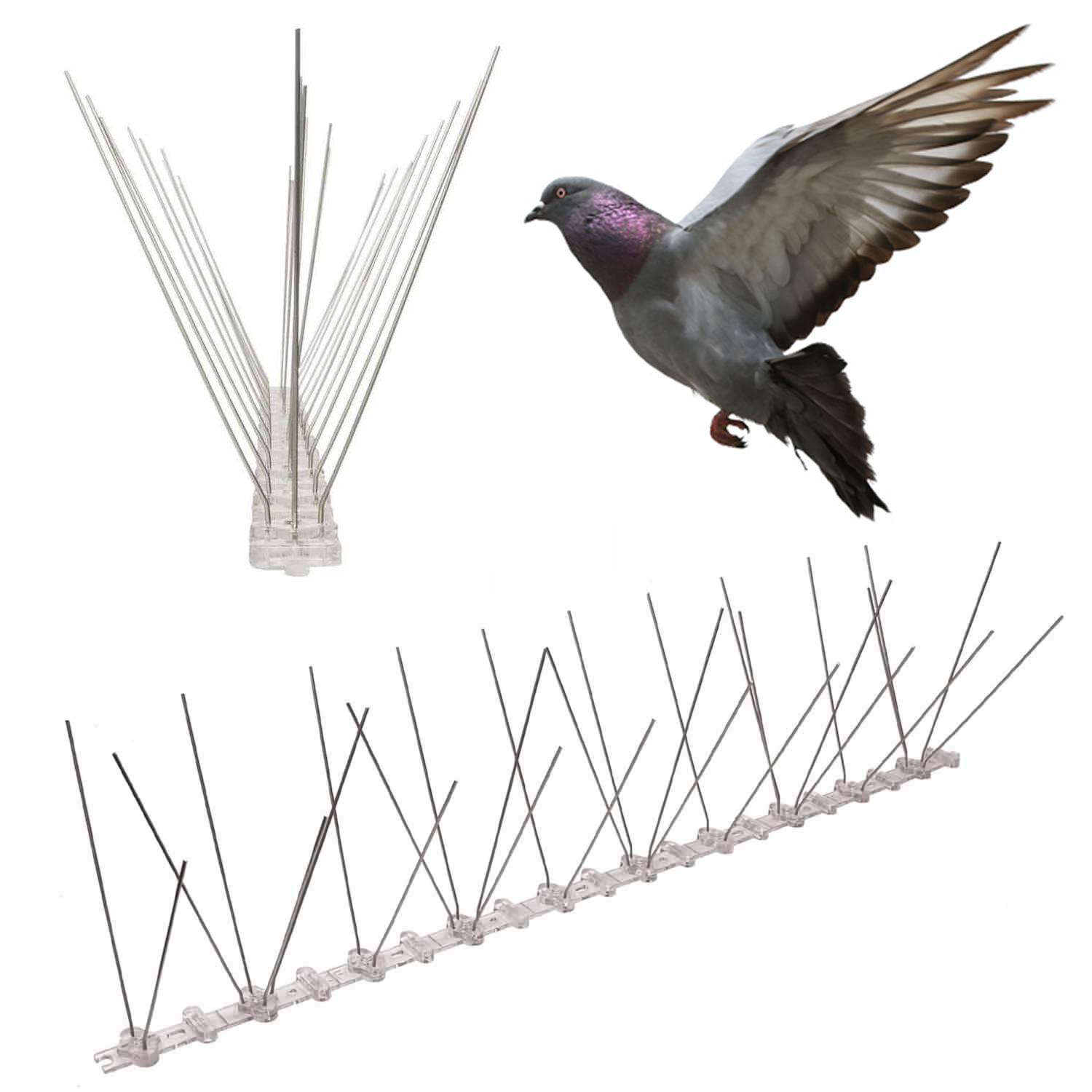 Anti-Pigeon Spikes