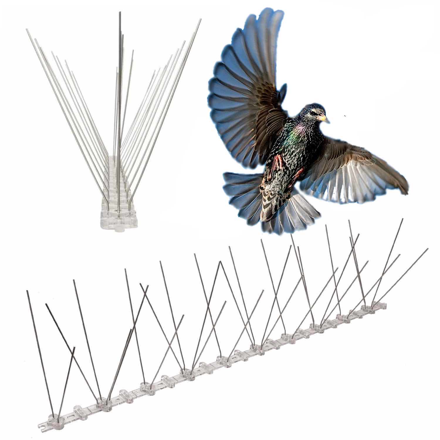 Starling Bird Spikes