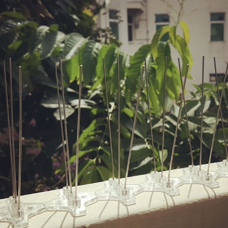 Anti-Pigeon Spikes, image 5