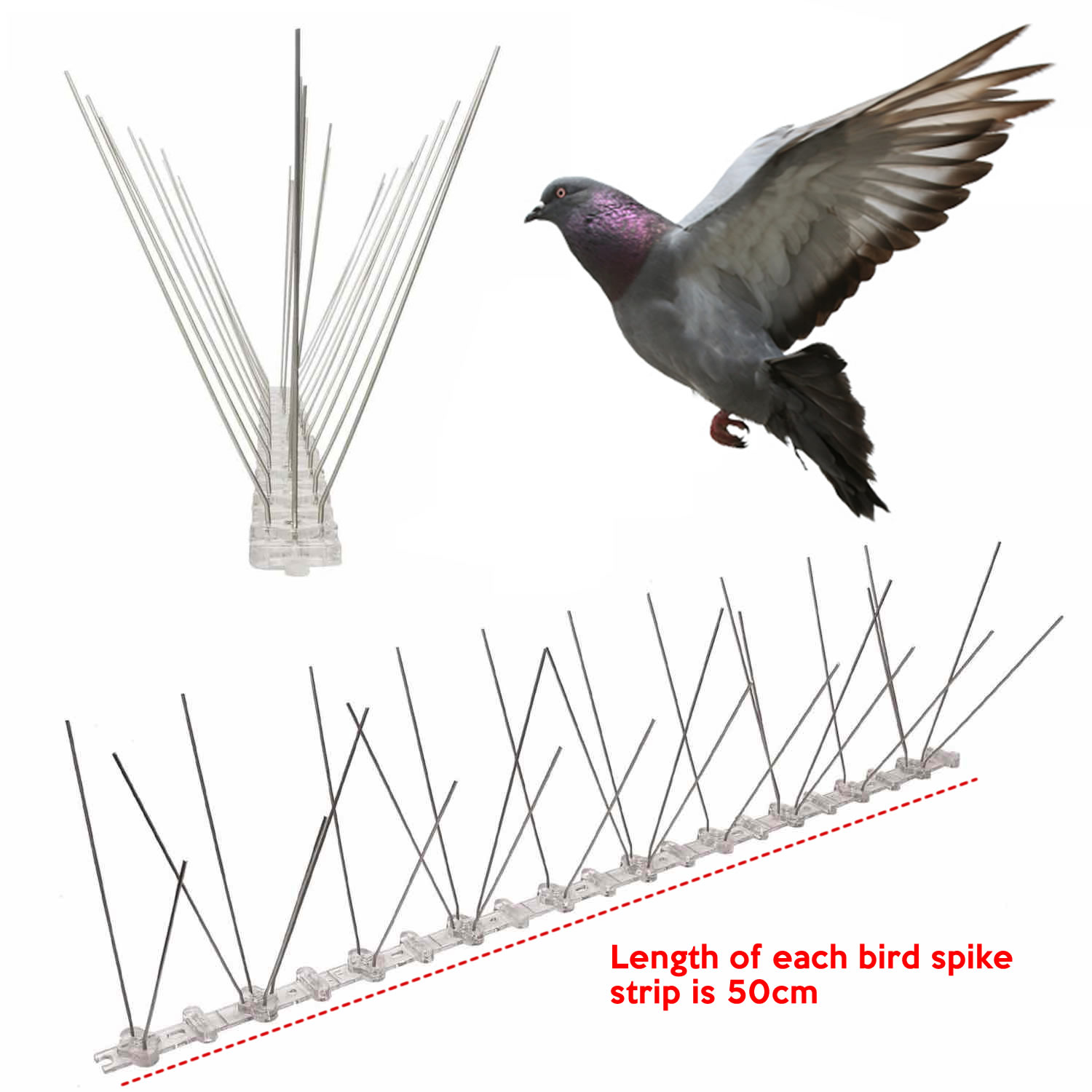 cheapest-pigeon-spike-supplier-online cheapest pigeon spike supplier online