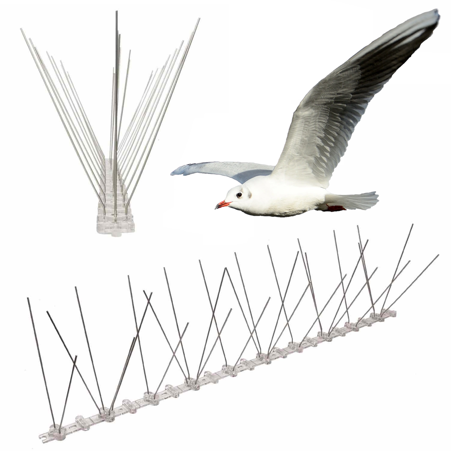 spikes to stop seagulls