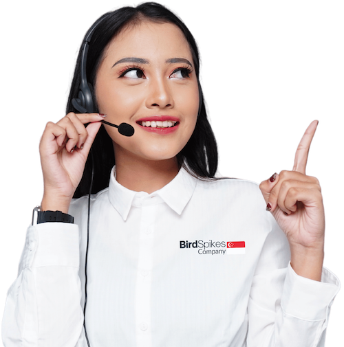 best bird spike products buy online singapore
